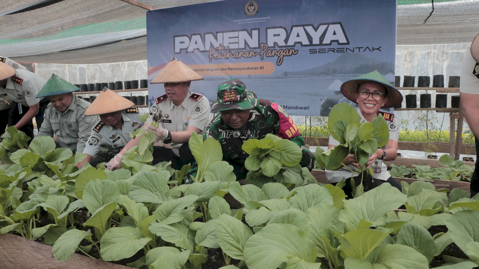 Panen Raya Serentak, Kanwil Ditjenpas Papua Barat Hasilkan Produk Hortikultura