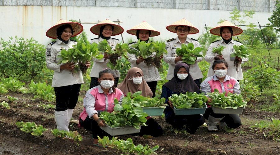 Wujudkan Ketahanan Pangan, Rutan Perempuan Surabaya Panen Berbagai Sayuran