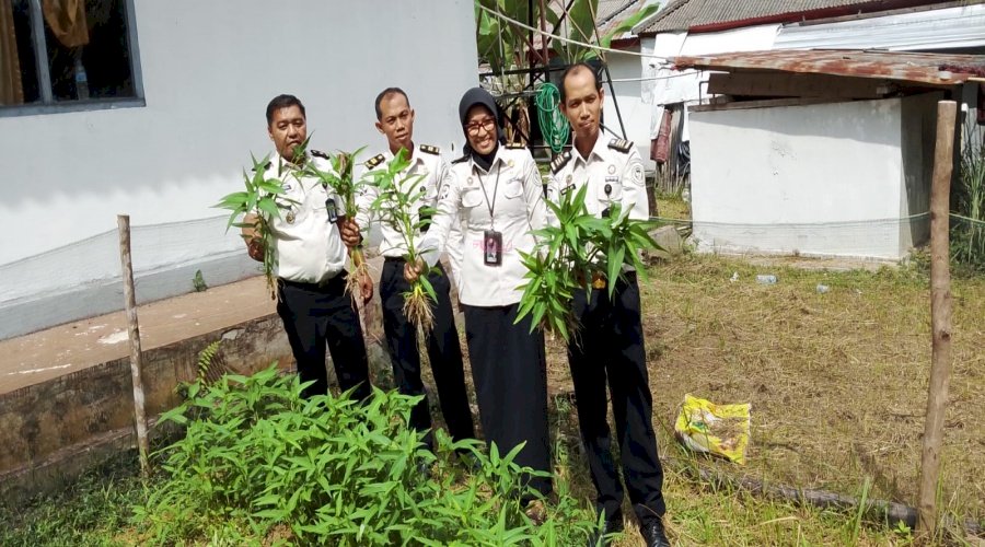 Bapas Muara Bungo Panen Raya Kangkung dan Salurkan Bantuan untuk Pesantren Darul Basyair