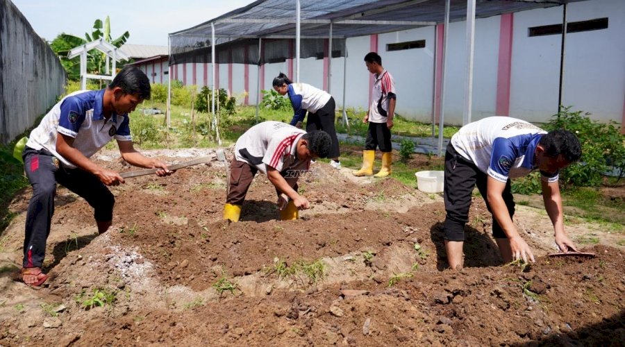 Perkuat Edukasi Keterampilan, LPKA Martapura Gelar Praktik Lapangan Perkebunan