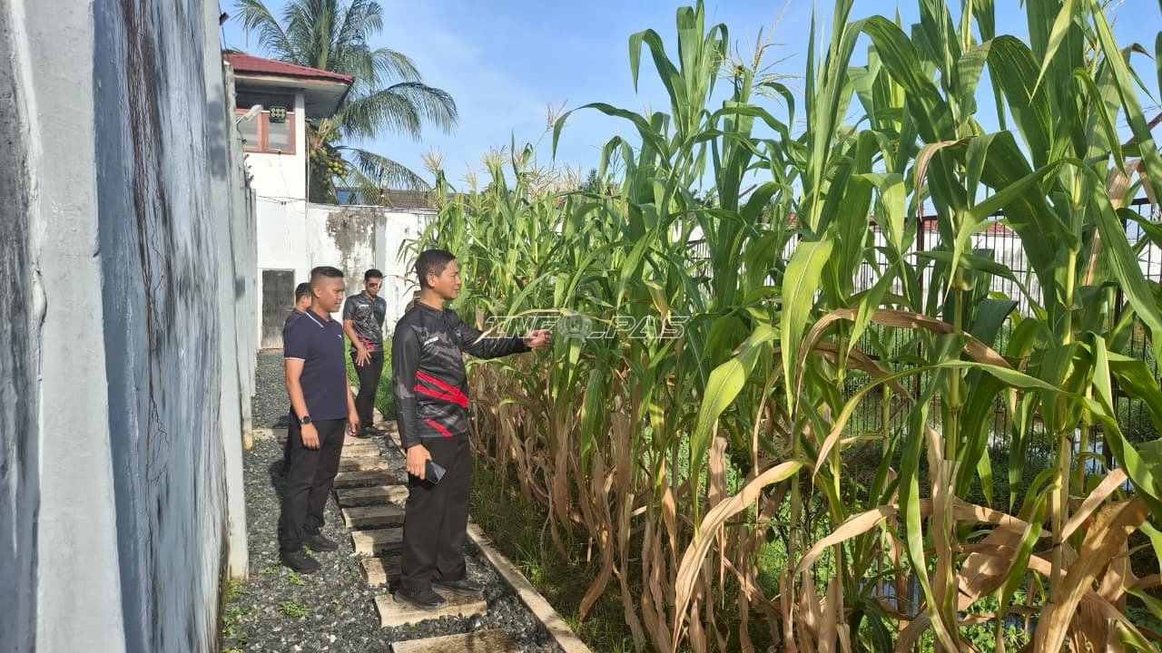 Deteksi Dini Keamanan, Karutan Marabahan Tinjau Brandgang dan Perkebunan