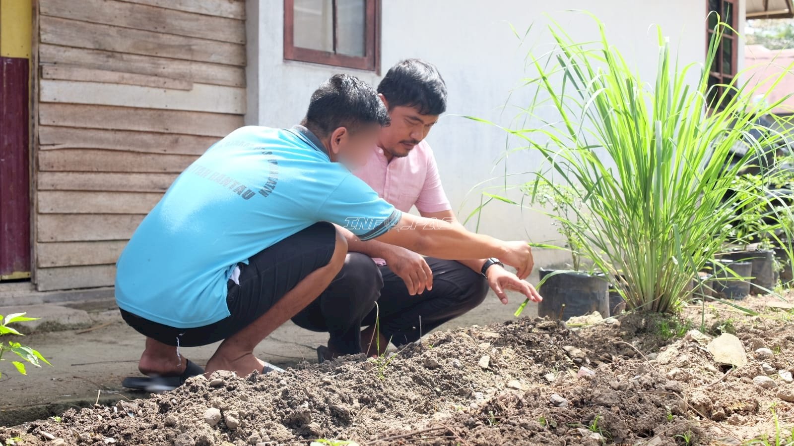 Optimalkan Lahan SAE, Warga Binaan Rutan Rantau Semai Bibit Bayam