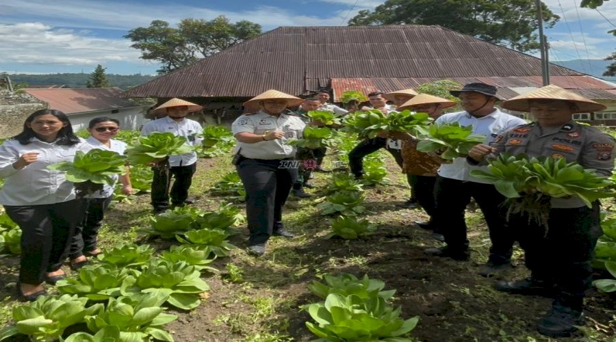 Dukung Ketahanan Pangan, Rutan Tarutung Panen Pakcoy dan Bawang Prei