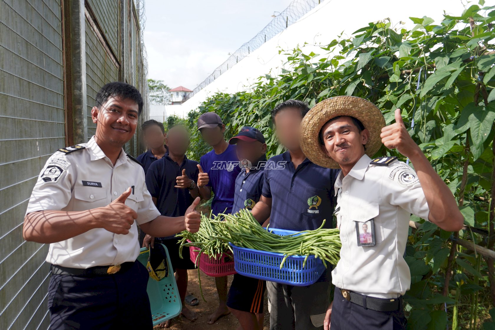 Panen 60 Kg Kacang Panjang, Lapas Banjarbaru Perkuat Kemandirian Pangan
