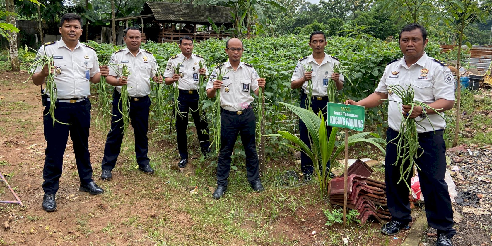 Hasilkan Produk Berkualitas, Lapas Batang Panen Raya Kacang Panjang