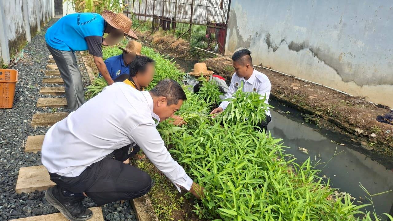 Kepala Rutan Marabahan Panen 50 Ikat Kangkung bersama Warga Binaan