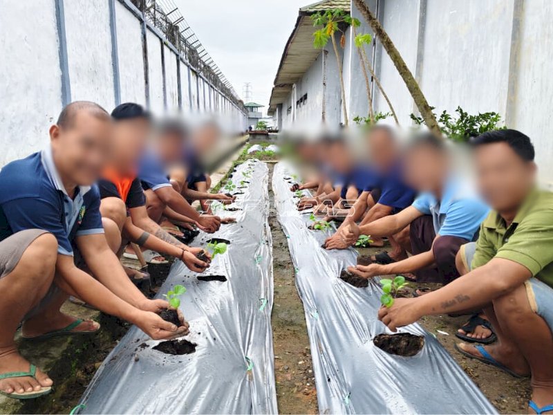Manfaatkan Lahan Idle, Lapas Banjarmasin Tanam 200 Bibit Terong Ungu