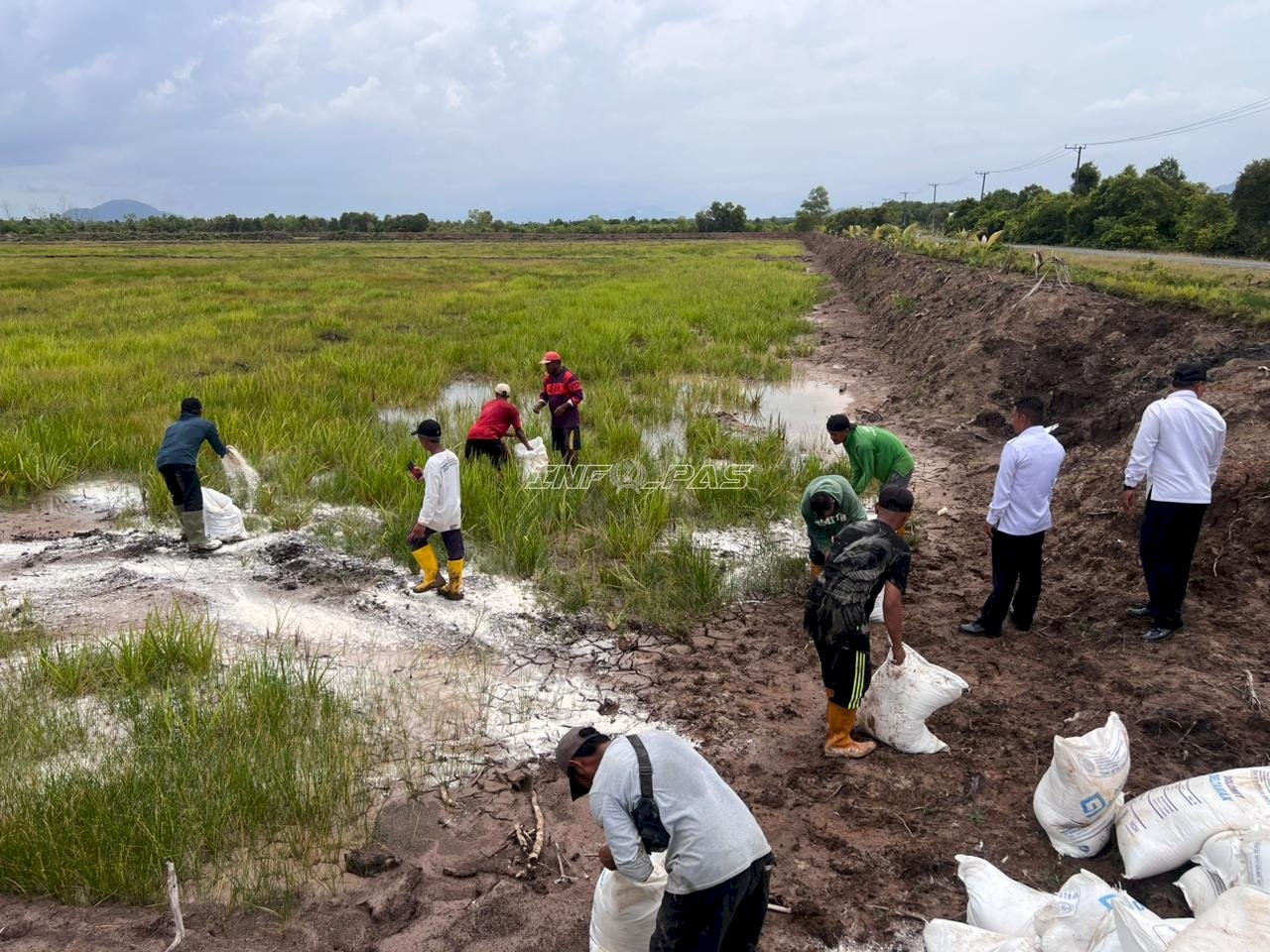 Ubah Lahan Idle Jadi Produktif, Rutan Pelaihari Siapkan Lahan Padi Lokal