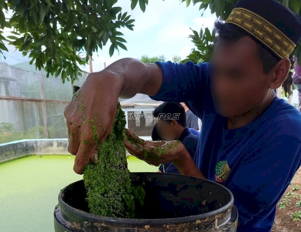 Manfaatkan Azolla, Lapas Banjarbaru Kembangkan Pertanian dan Peternakan Berkelanjutan
