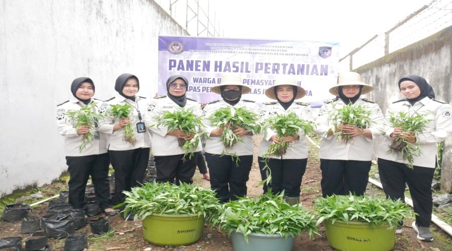 Lapas Perempuan Martapura Panen 28 Kilogram Kangkung, Dukung Program Aksi Kemenimipas