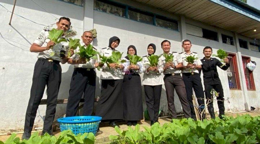 Rutan Barabai Panen Sayur Sawi, Optimalkan Lahan Tidur untuk Ketahanan Pangan