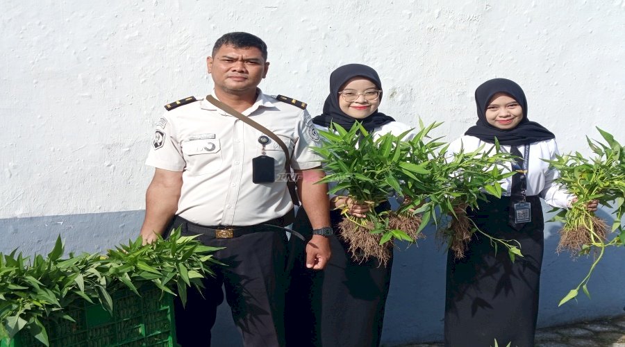 Dari Pembinaan menuju Kemandirian, Warga Binaan Lapas Kotabaru Panen 50 Kg Kangkung