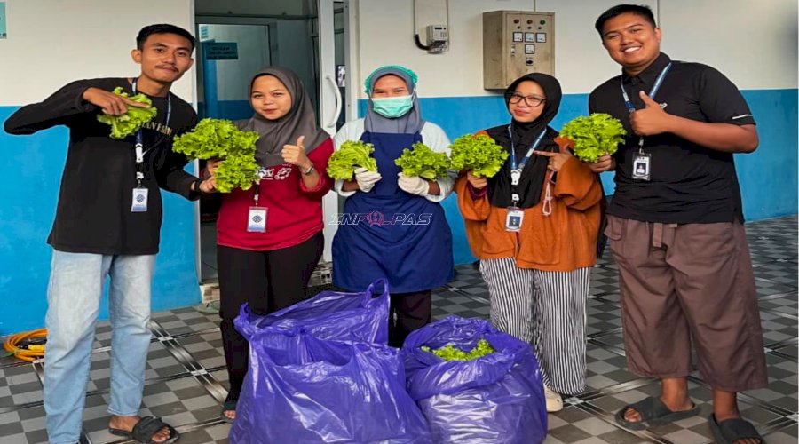 Dukung Ketahanan Pangan, Rutan Majene Suplai 16 Kg Selada ke SPPG Kab. Majene