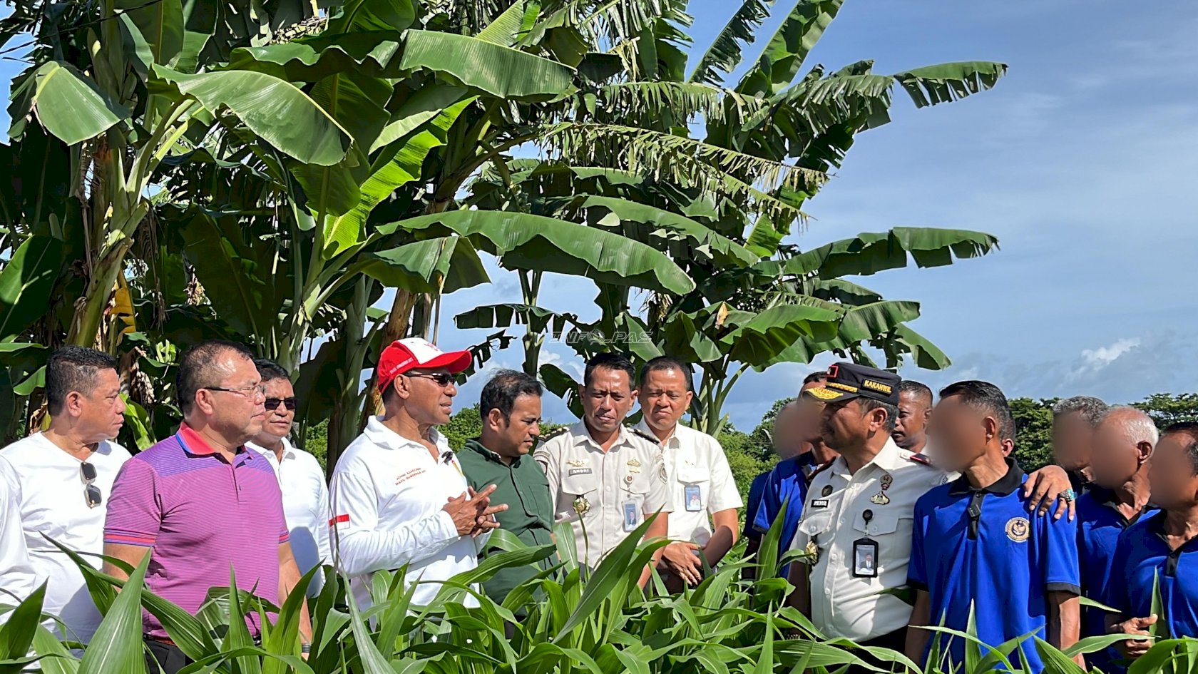 Kanwil Ditjenpas NTT Dorong Pembinaan Kemandirian, SAE Lapas Kupang Jadi Contoh Pertanian Produktif