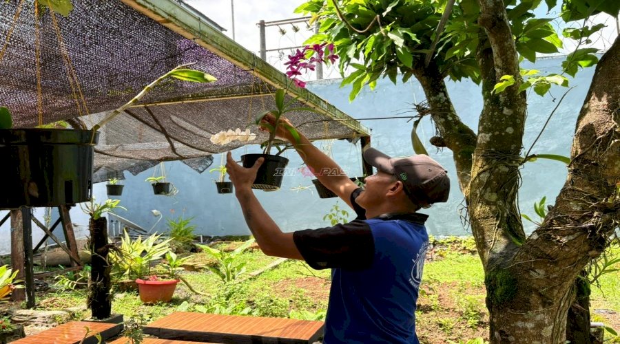Warga Binaan Lapas Narkotika Karang Intan Tekuni Budidaya Anggrek
