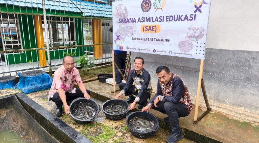 SAE Lapas Tanjung Panen 30 Kg Lele, Dukung Program Aksi Kemenimipas