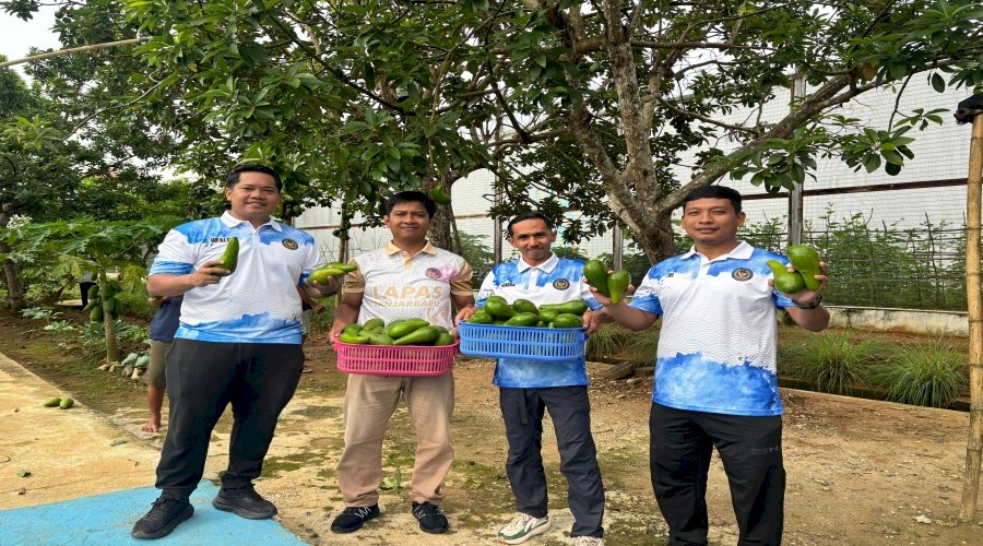Lapas Banjarbaru Panen 50 Kg Alpukat, Wujudkan Pembinaan Produktif Warga Binaan