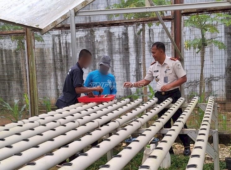 Tanam 200 Bibit Selada Hidroponik, Lapas Banjarbaru Dukung Ketahanan Pangan