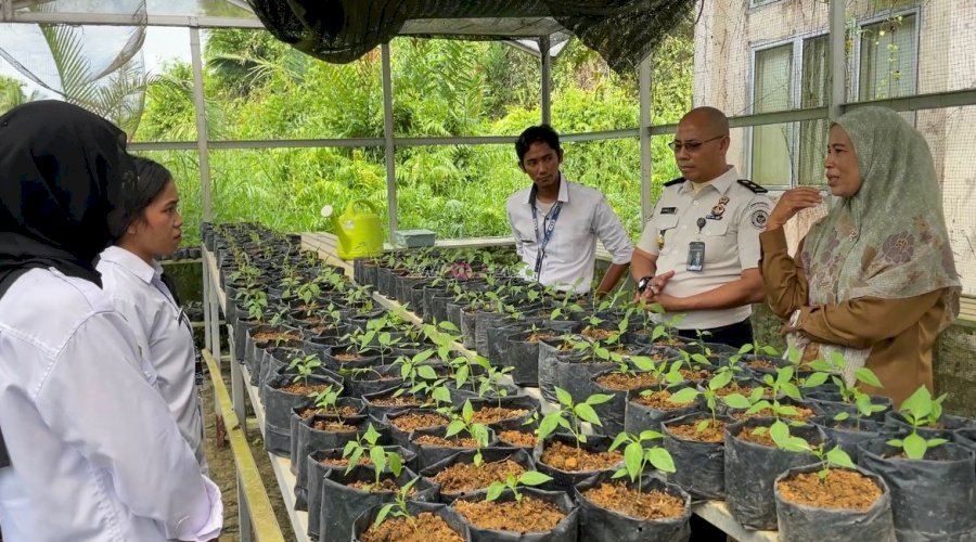 Lapas Kuala Tungkal Terima Bibit Cabai dari Dinas Tanaman Pangan dan Hortikultura Kab. Tanjung Jabung Barat