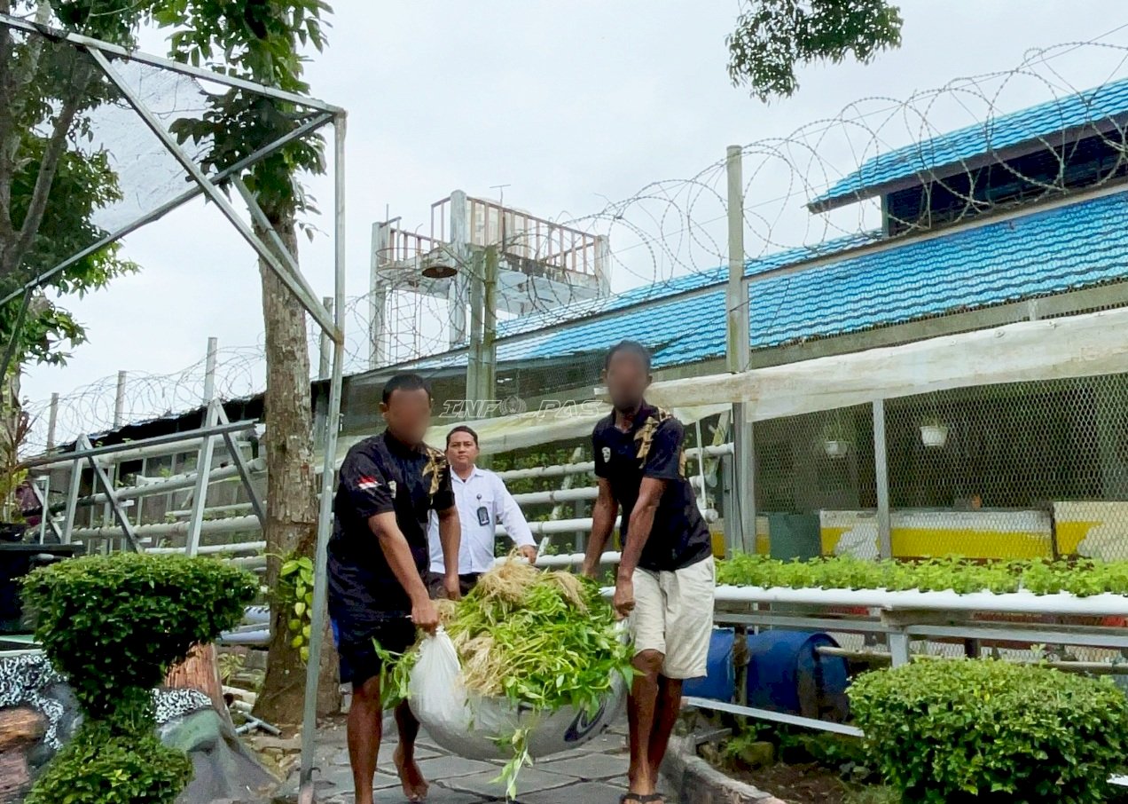 53 Kg Kangkung Hasil Panen Warga Binaan Lapas Narkotika Karang Intan Disalurkan ke Dapur Sehat