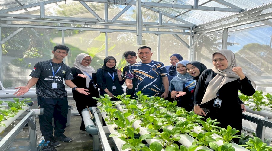 Perkuat Ketahanan Pangan, Bapas Tanjungpandan Kembangkan Sawi Pakcoy di Rumah Hidroponik