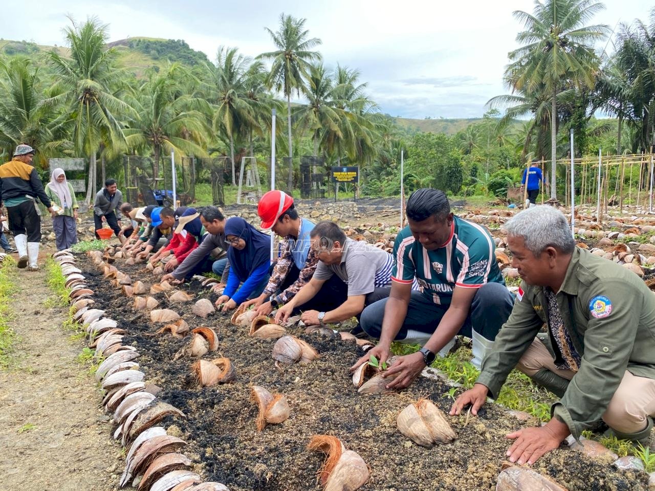 Sinergi Rutan Majene–Pemkab, Tanami Lahan SAE Mangge Beragam Bibit Sayuran
