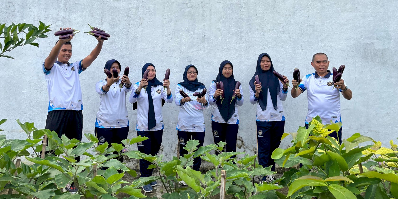 Hasilkan Panen Terong Berkualitas, Rutan Barabai Tegaskan Komitmen Pembinaan Kemandirian