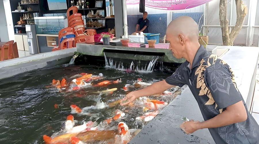 Bekal Produktif untuk Masa Depan, Warga Binaan Lapas Narkotika Karang Intan Tekuni Budidaya Ikan Koi