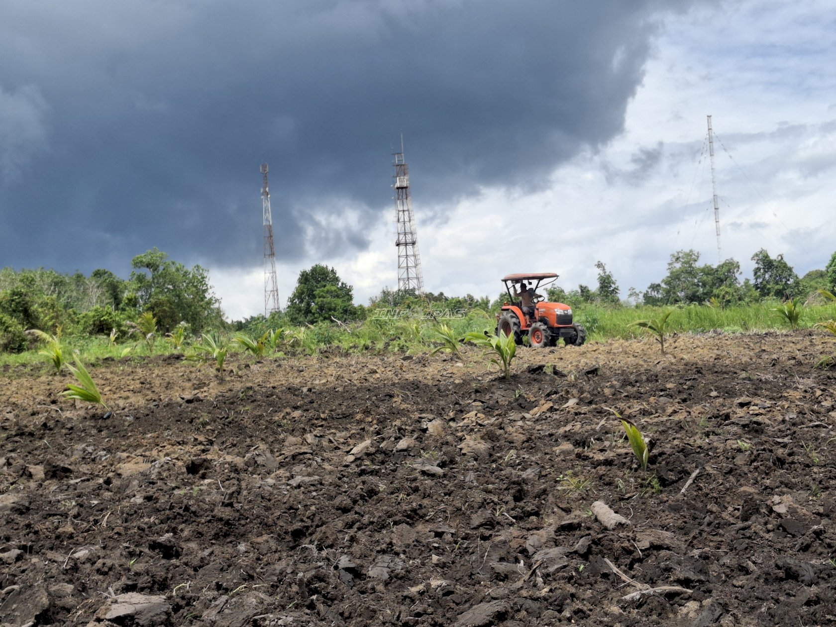 Lapas Sungailiat Revitalisasi Lahan Pertanian Optimalkan Ketahanan Pangan