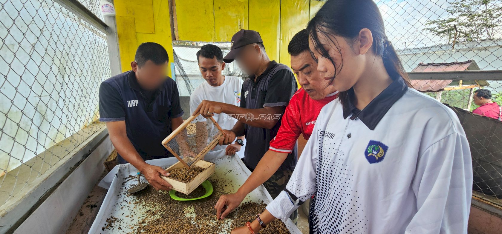 Warga Binaan Lapas Pangkalpinang Kembangkan Budidaya Maggot Bernilai Ekonomi