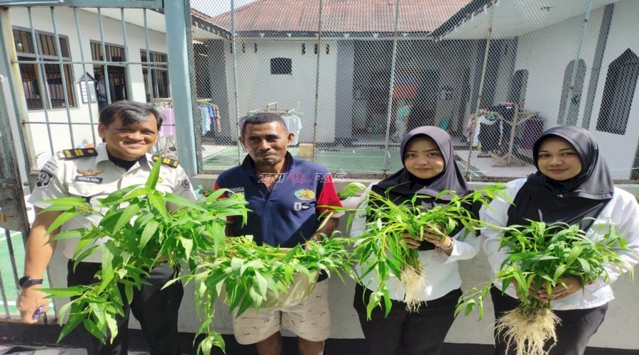 Ramadan Berkah, Lapas Wahai Optimalkan Hidroponik Demi Ketahanan Pangan dan Kebutuhan Dapur