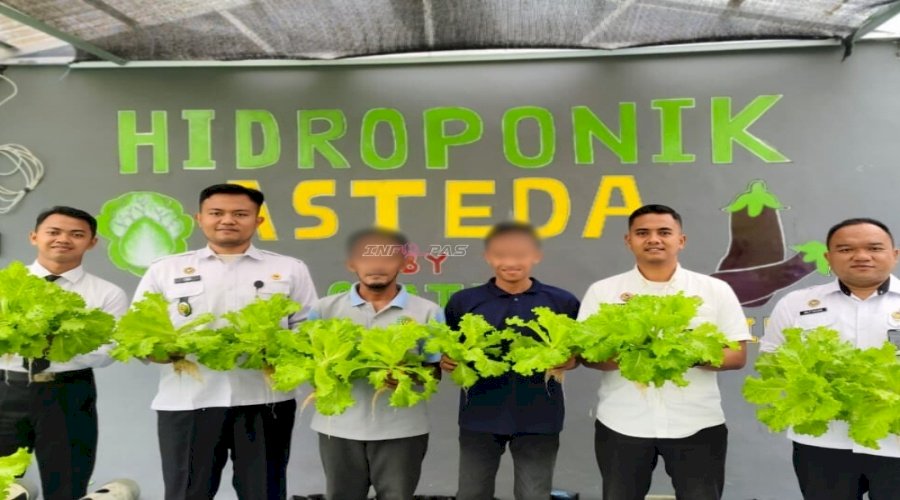 Lapas Banjarmasin Panen 200 Pot Selada Hidroponik, Hasil Melimpah Tebar Optimisme