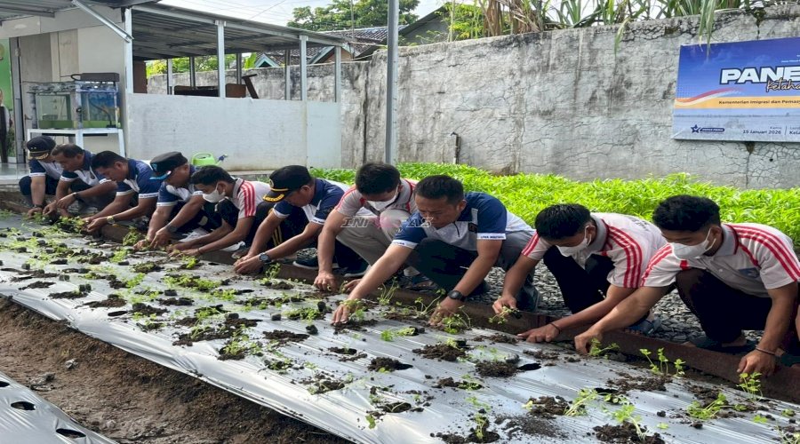 Perkuat Ketahanan Pangan, LPKA Martapura Terapkan Praktik Hidroponik dan Budidaya Seledri