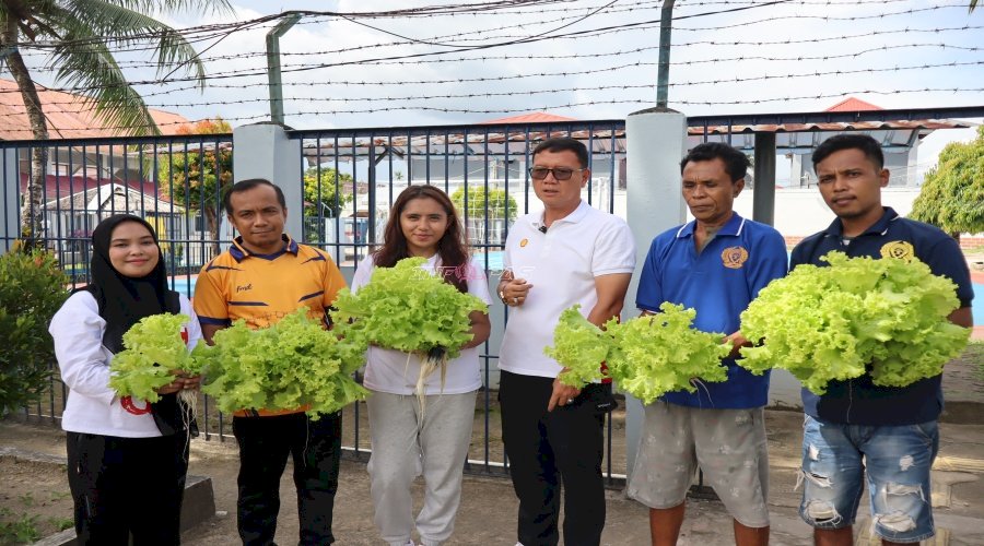 Lapas Ambon Panen Selada, Wujud Dukungan Program Kemandirian Pangan