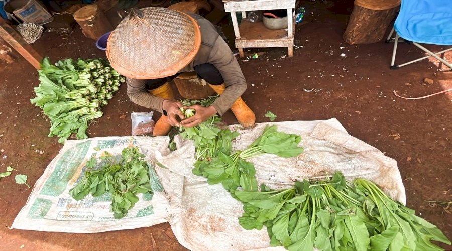 Dalam Suasana Ramadan, Rutan Pelaihari Panen 50 Ikat Sawi