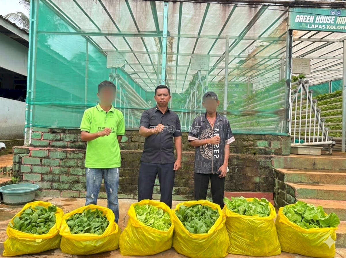 Awal Ramadan, Lapas Kolonodale Panen 60 Kg Sayur Segar dari Greenhouse Hidroponik