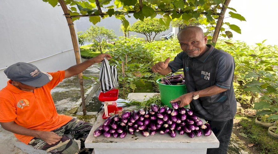 Rutan Kebumen Kembali Panen Terong Ke-16 Kali Seberat 20 Kg