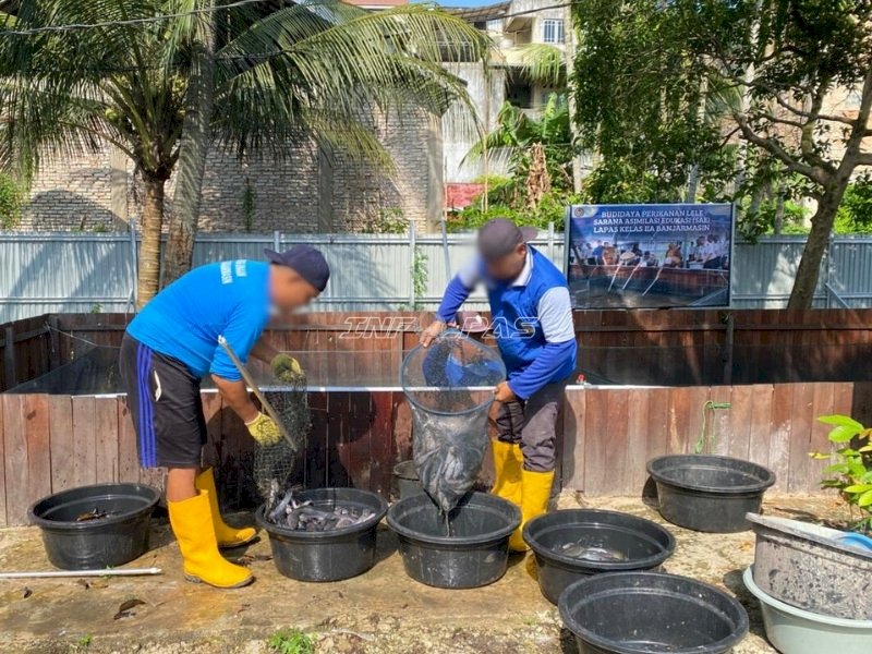Rekor Baru Budidaya SAE 1, Lapas Banjarmasin Panen 255,5 Kg Lele