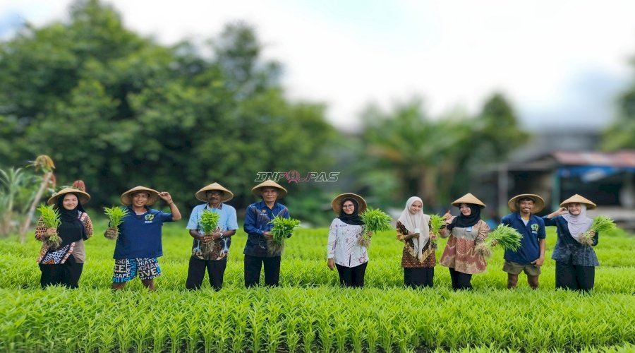 Warga Binaan Produktif, Lapas Bandanaira Panen Kangkung dan Bayam