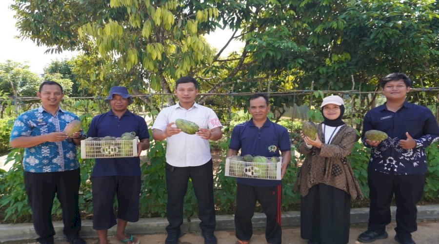 Lapas Banjarbaru Panen 20 Kilogram Mangga Kiojay, Dukung Pembinaan Kemandirian Warga Binaan