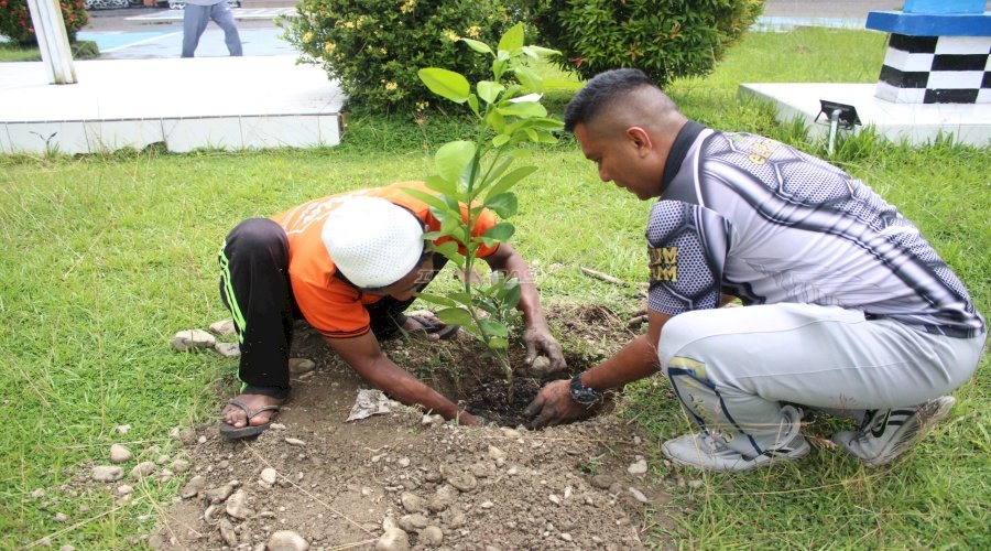 Lapas Piru Tanam 12 Pohon Jeruk Red Pamelo, Dukung Pembinaan Kemandirian dan Ketahanan Pangan
