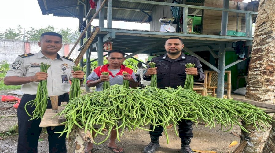 Lapas Piru Panen 65 Ikat Kacang Panjang, Dukung Program Kemandirian dan Ketahanan Pangan