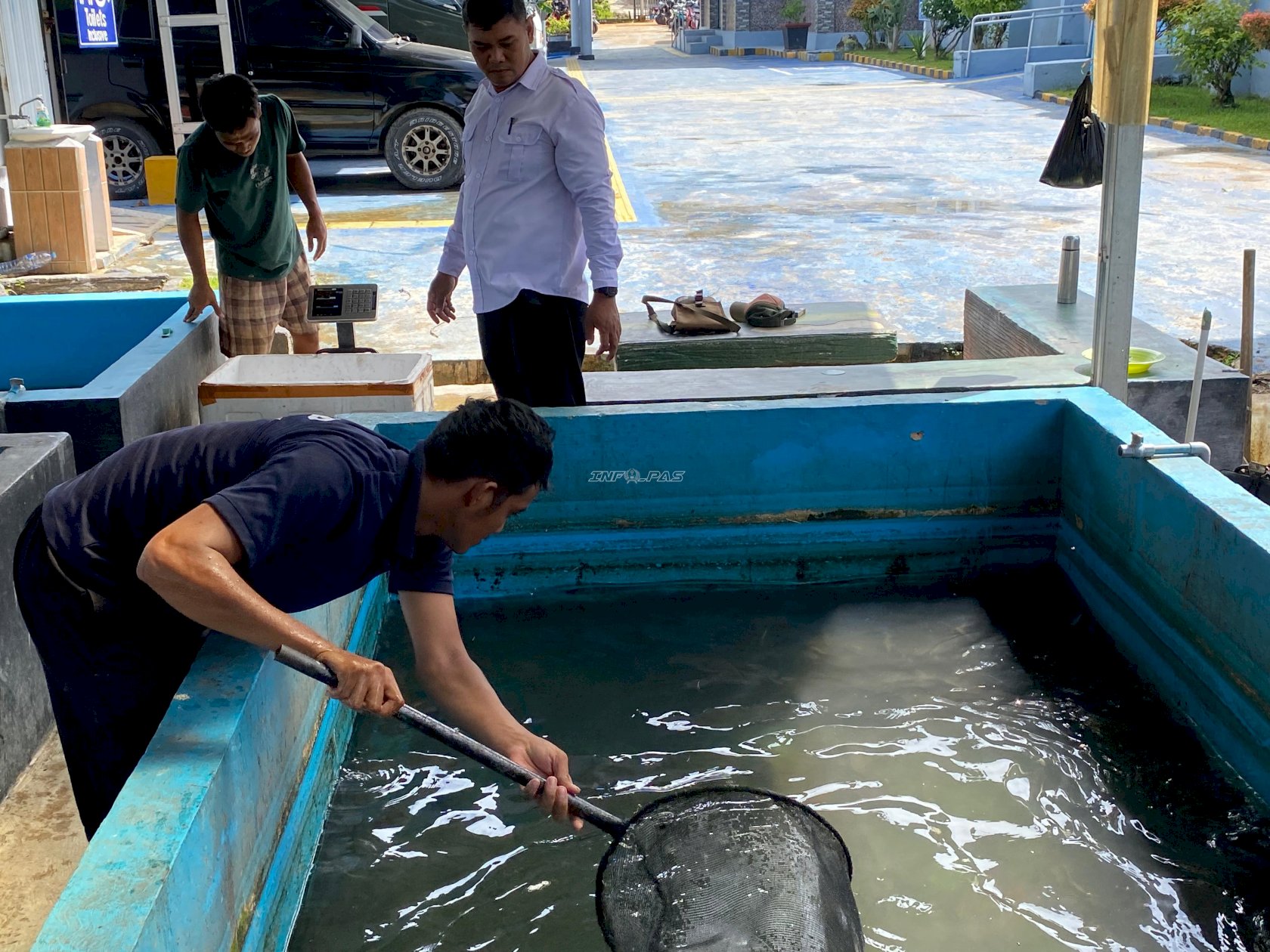 Pembinaan Bernilai Ekonomi, Lapas Kotabaru Panen Lele Hasil Budidaya Warga Binaan