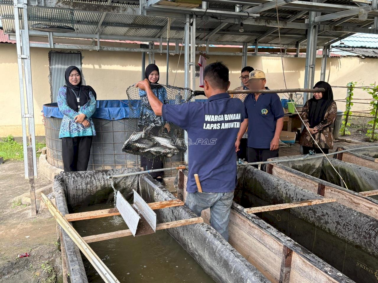Lapas Amuntai Panen 18 Kg Ikan Patin dari Kolam SAE