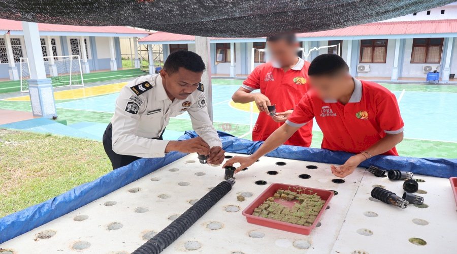 LPKA Ambon Siapkan Anak Binaan Mandiri melalui Budidaya Sayuran Hidroponik