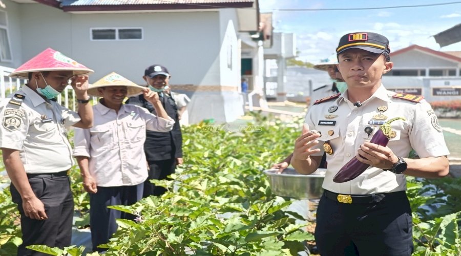 Rutan SoE Panen Terong dan Wortel, Perkuat Pembinaan Kemandirian dan Ketahanan Pangan