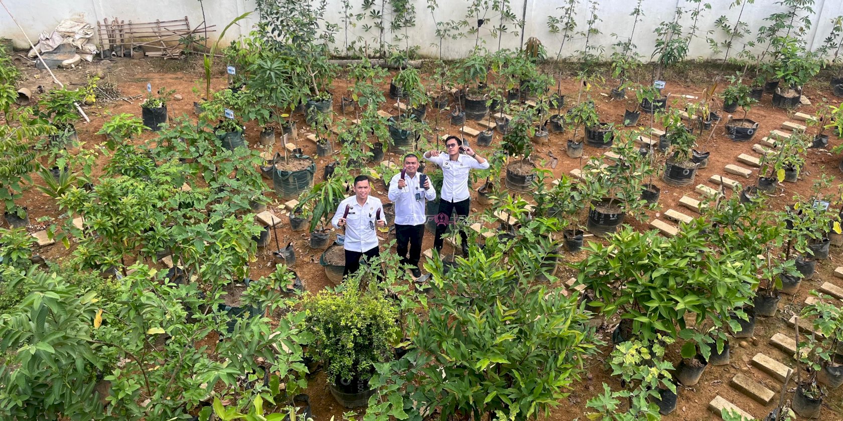 Dukung Kemandirian Warga Binaan, Rutan Barabai Panen 8,7 Kg Terong dari Kebun SAE