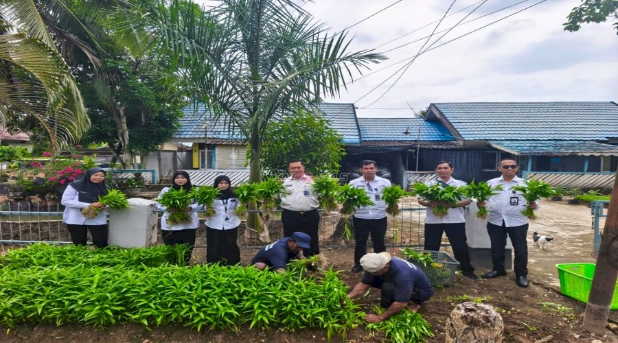 Lapas Amuntai Panen 27 Kg Kangkung di Halaman Rumah Dinas, Wujud Nyata Ketahanan Pangan