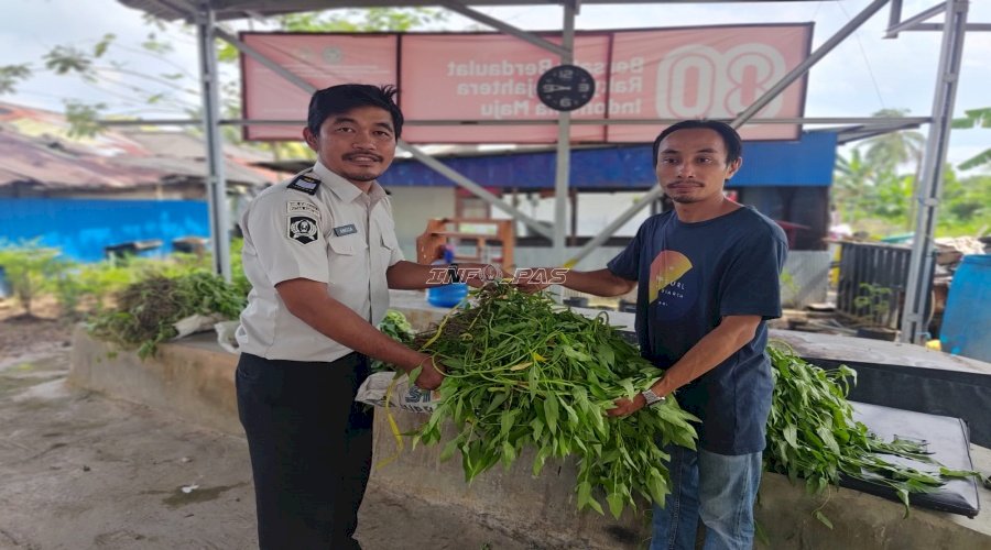 Rutan Rantau Pasok 87 Kilogram Sayur Segar ke Pedagang Pasar
