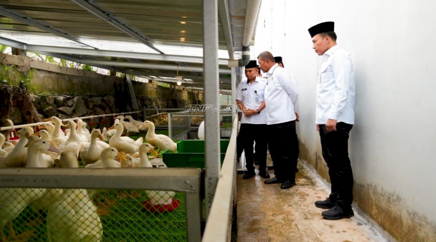 Dirjenpas Tinjau Kebun Inovasi Lapas Cibinong, Perkuat Pembinaan Kemandirian Warga Binaan